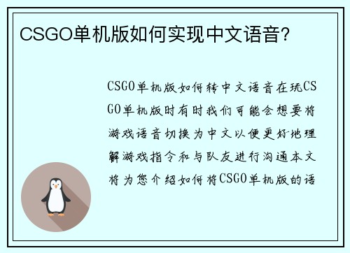 CSGO单机版如何实现中文语音？