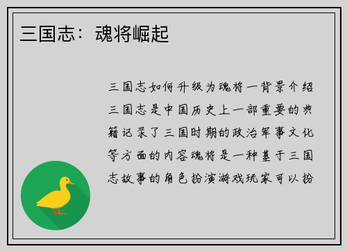 三国志：魂将崛起